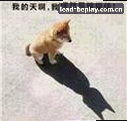 吴芳